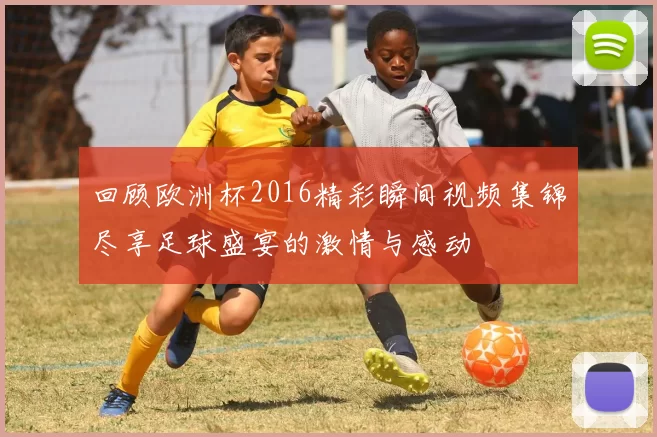 回顾欧洲杯2016精彩瞬间视频集锦尽享足球盛宴的激情与感动